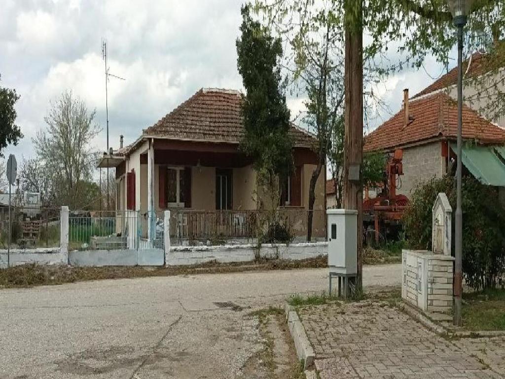 House-Karditsa-90804